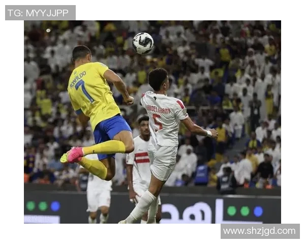 全球体育明星收入排行榜揭晓前十名运动员的年薪与成就分析