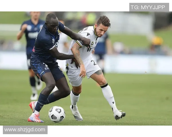 中央海岸与惠灵顿实力分析及对比探讨